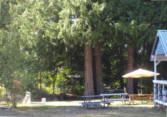 picnic_area.jpg